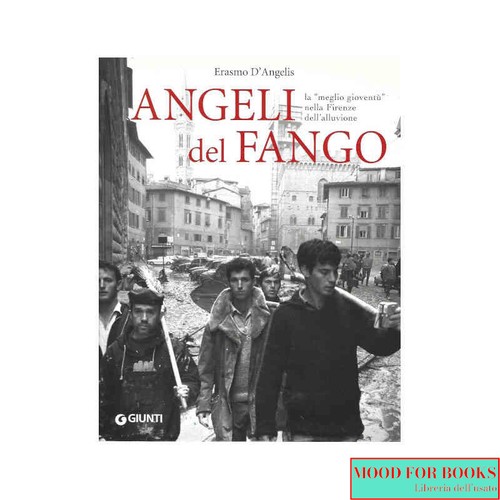 Erasmo angelis angeli del - erasmo, d'angelis